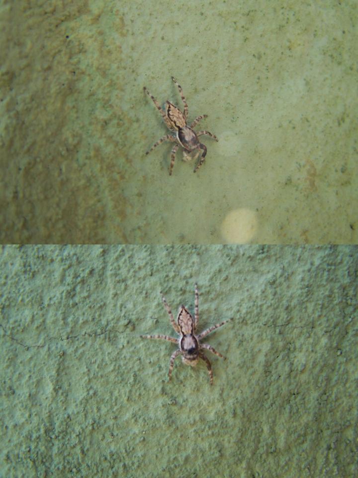 FIGURE 19 FIGURE 19
